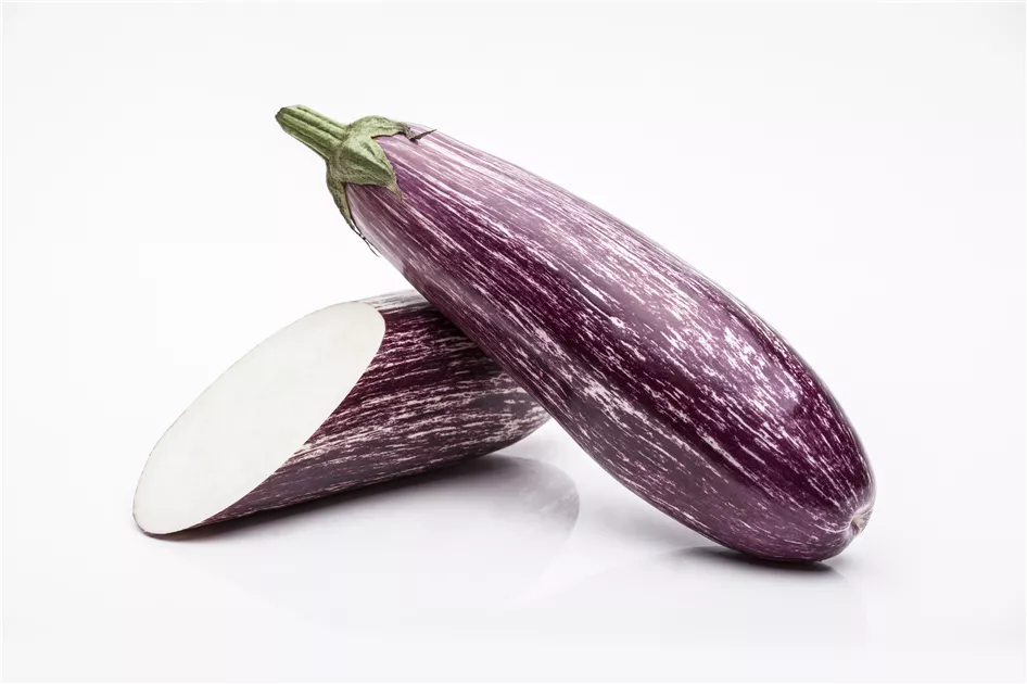 Solanum melongena, Aubergine - Baumschule Schumann