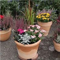Blumenkübel - Bepflanzung für den Herbst (Anleitung - 7).jpg